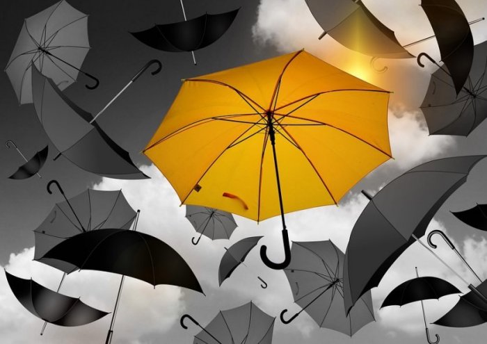 Umbrella Yellow Black White Selection